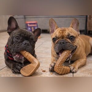 🦴✨ PowerBone – The Ultimate Chew Toy! ✨🦴